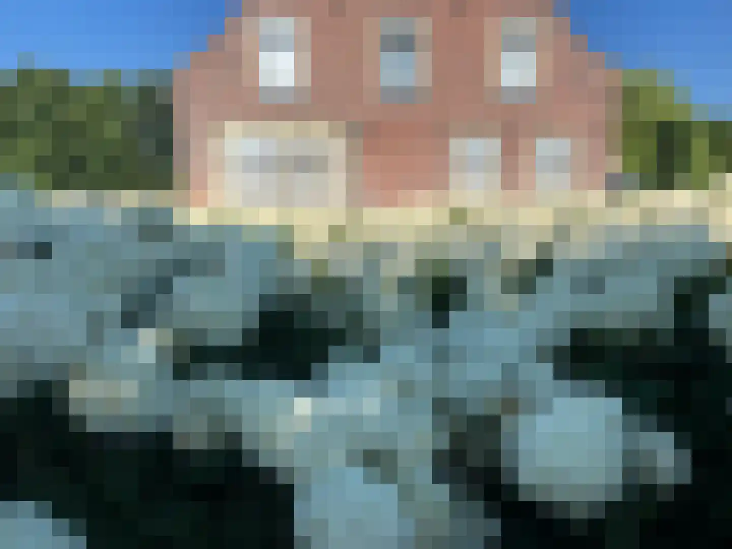 Lekdijk 75 Tienhoven aan de Lek thumbnail 38