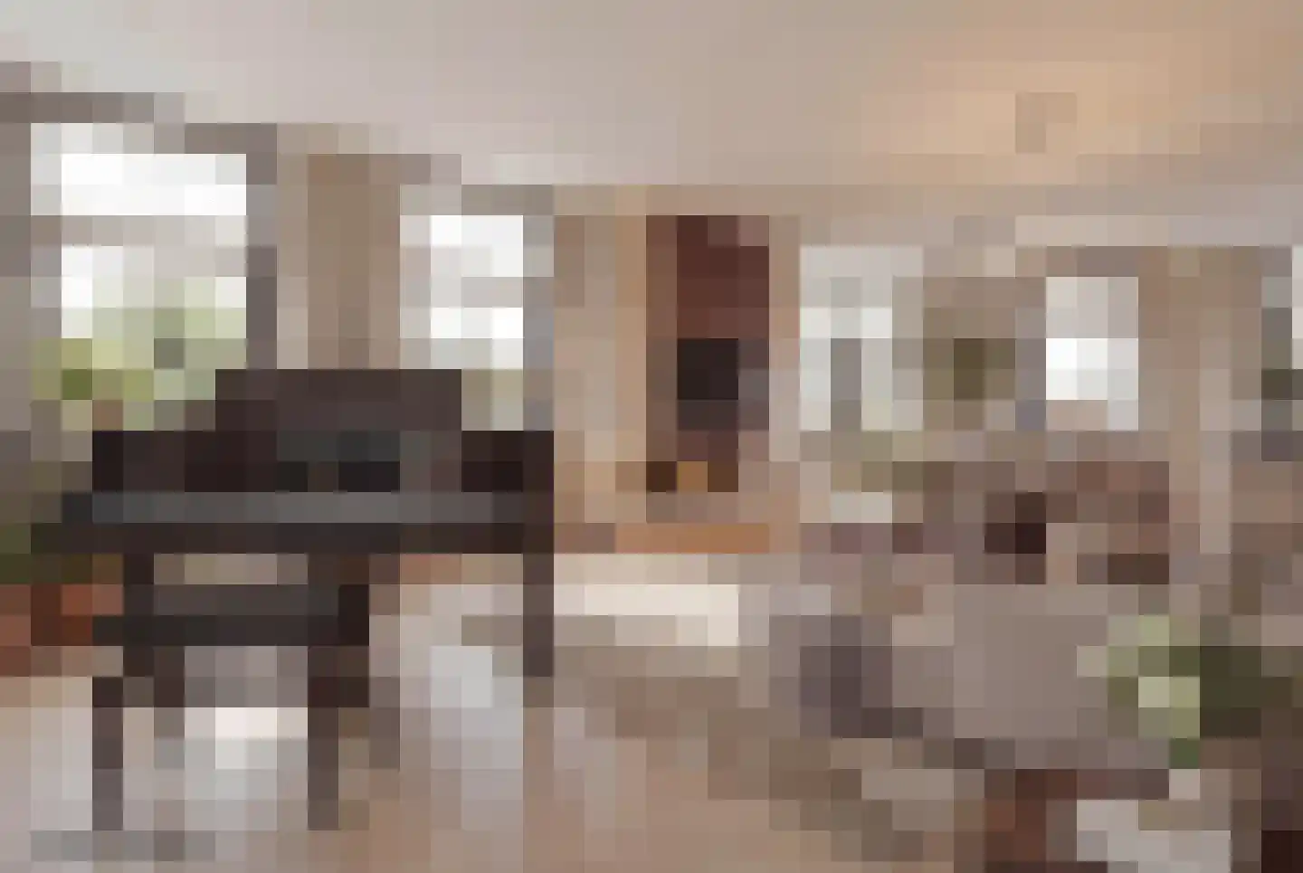 Lekdijk 75 Tienhoven aan de Lek thumbnail 4