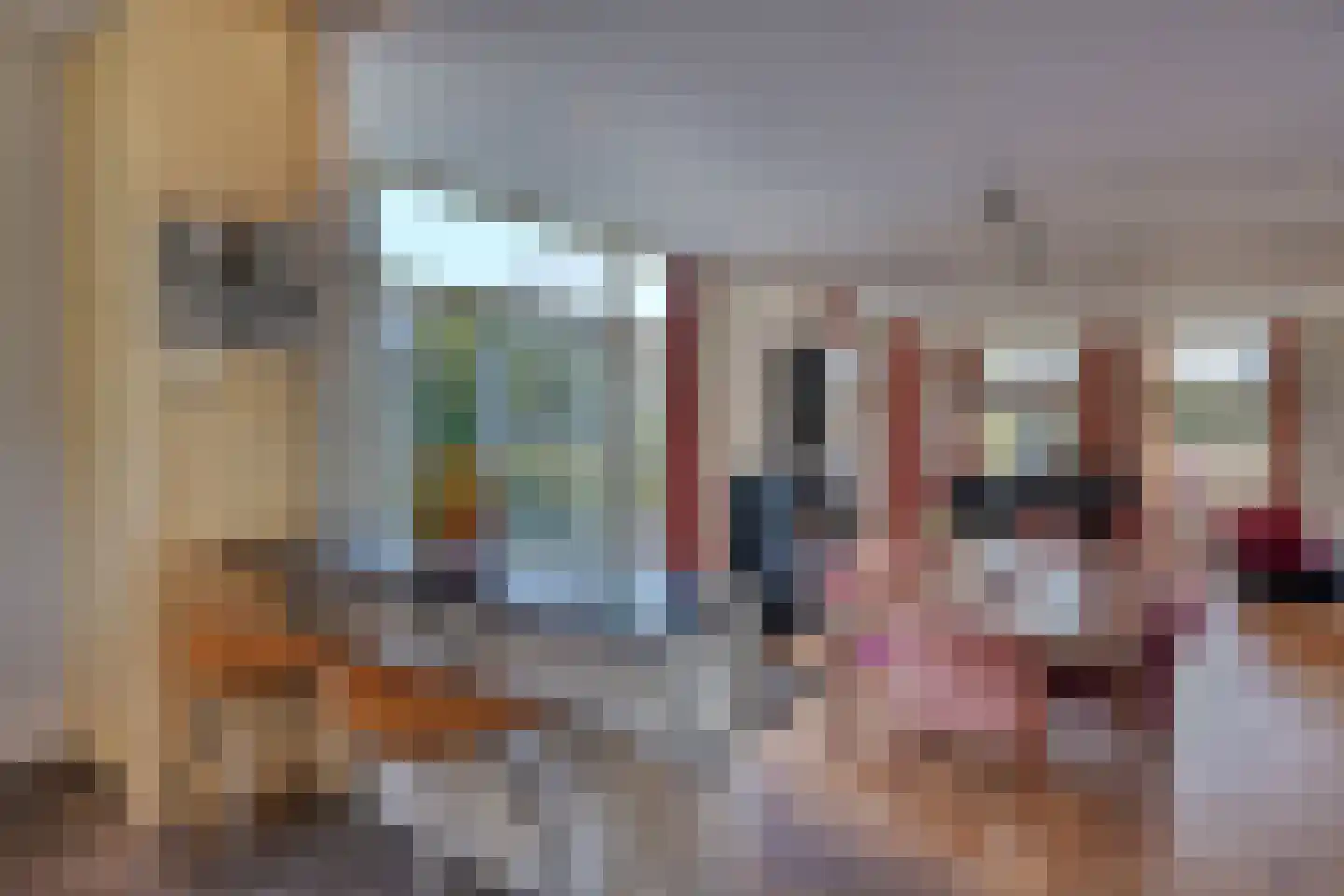 Lekdijk 75 Tienhoven aan de Lek thumbnail 8