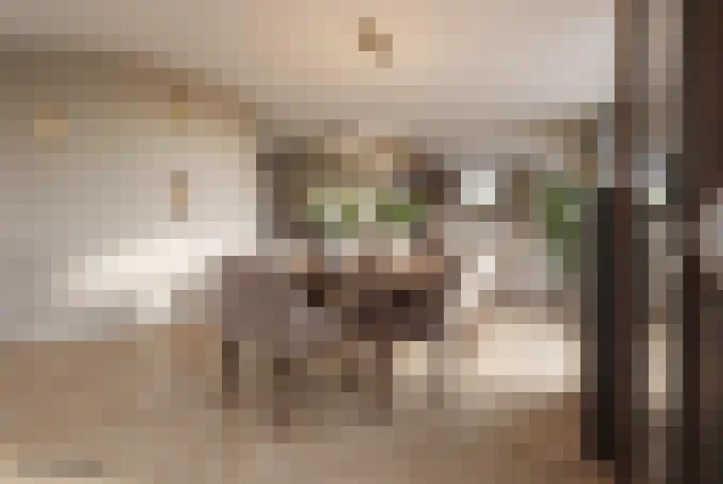 Lekdijk 75 Tienhoven aan de Lek thumbnail 9