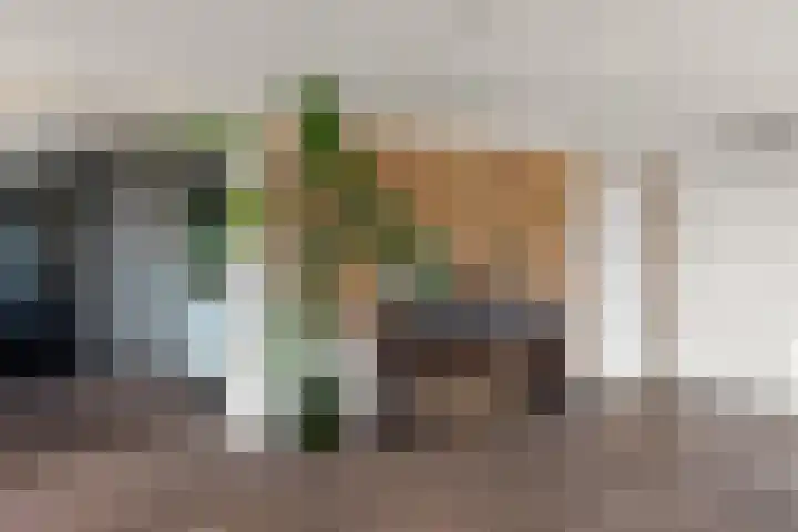 Lekdijk oost 16 D 30 Lopikerkapel thumbnail 16