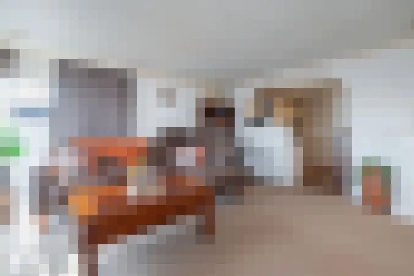 Lekdijk oost 16 E 79 Lopikerkapel thumbnail 17