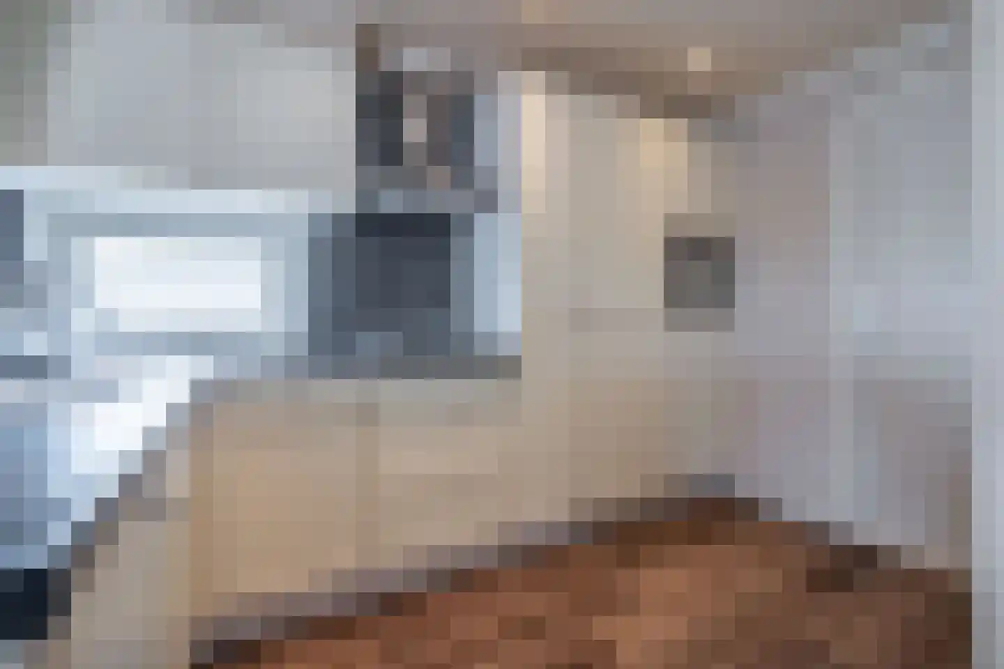 Lekdijk oost 16 E 79 Lopikerkapel thumbnail 18