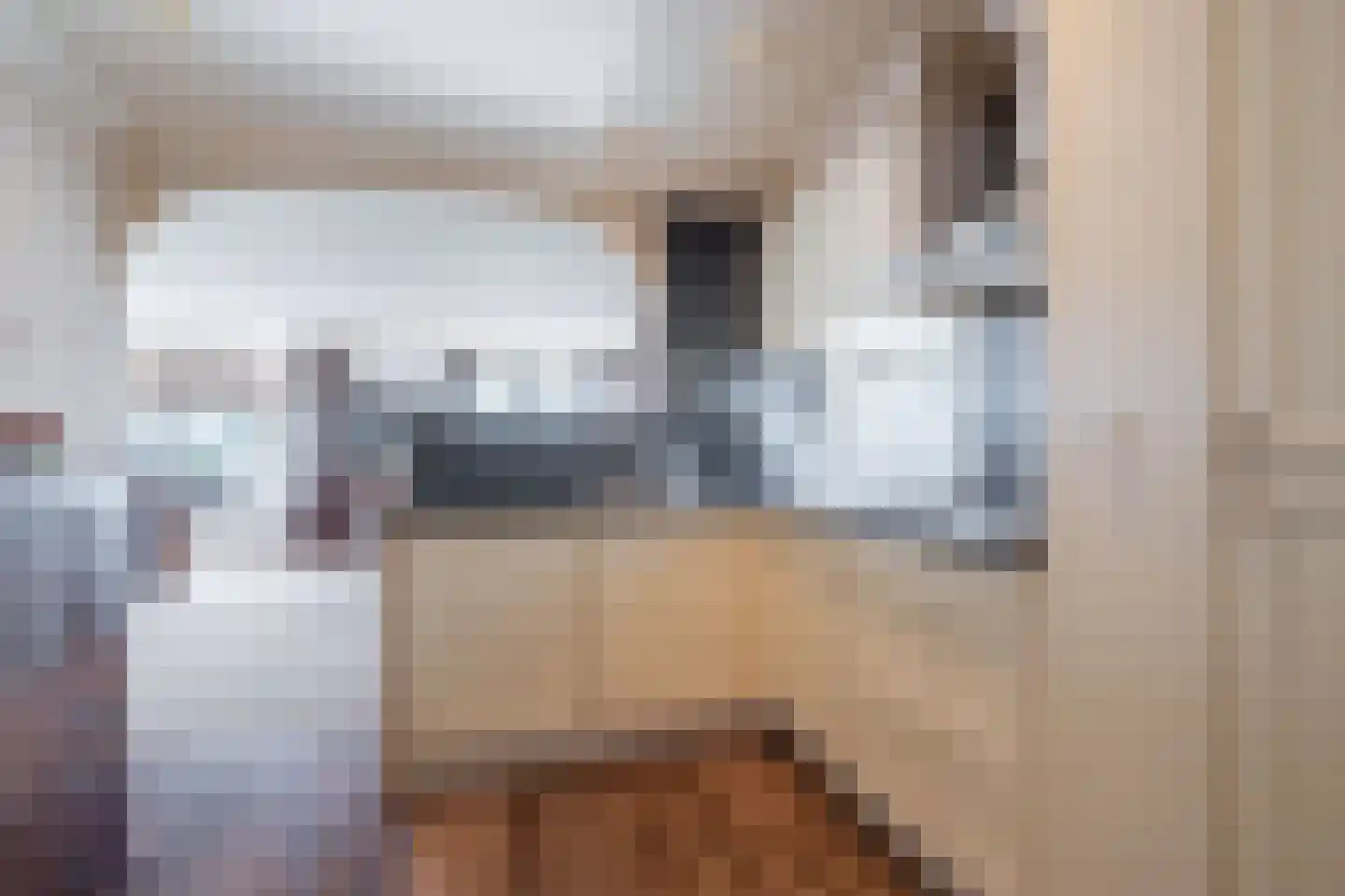Lekdijk oost 16 E 79 Lopikerkapel thumbnail 19