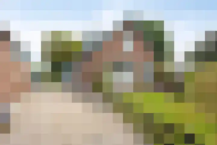 Lekdijk-Oost 22 in Bergambacht