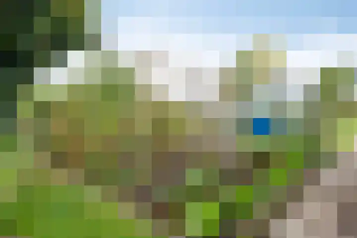 Lekdijk-Oost 22 Bergambacht thumbnail 30