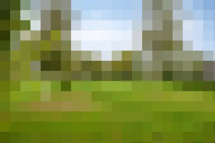 Lekdijk-Oost 22 Bergambacht thumbnail 31