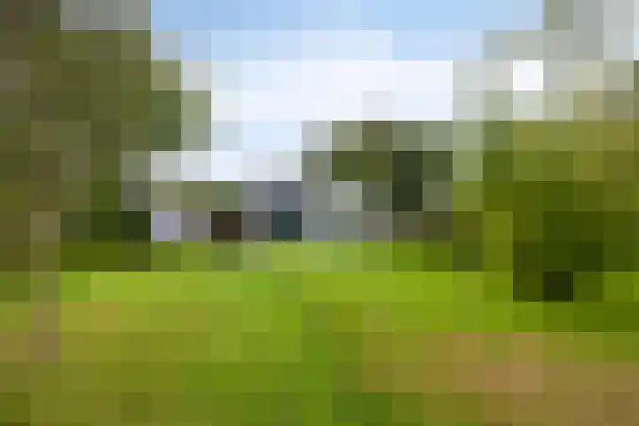 Lekdijk-Oost 22 Bergambacht thumbnail 32