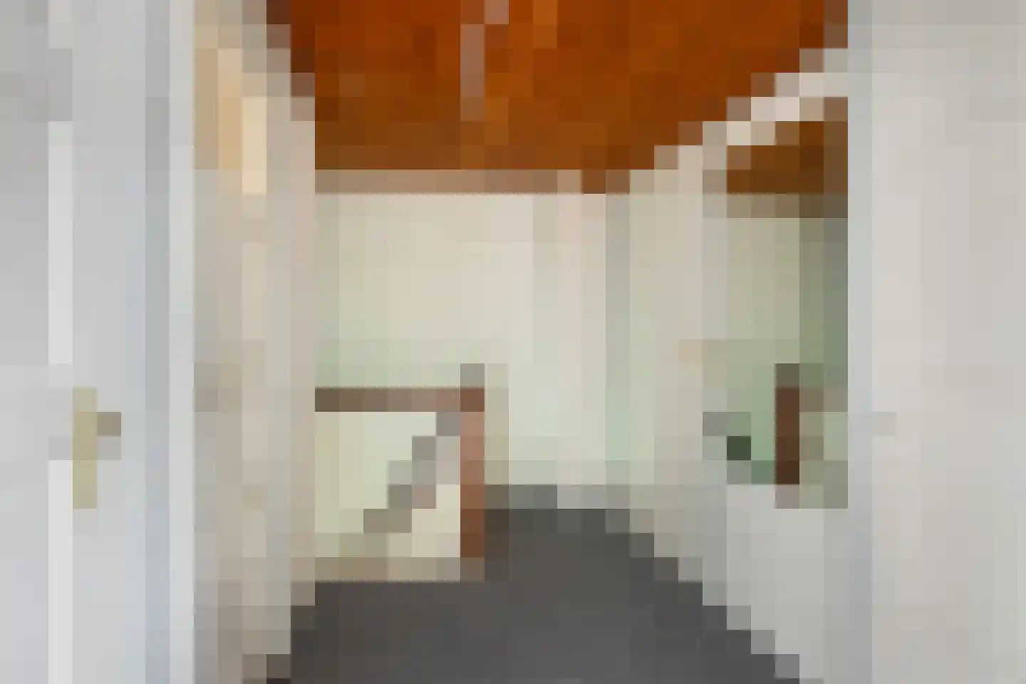 Lekdijk Oost 3 Wijk bij Duurstede thumbnail 18