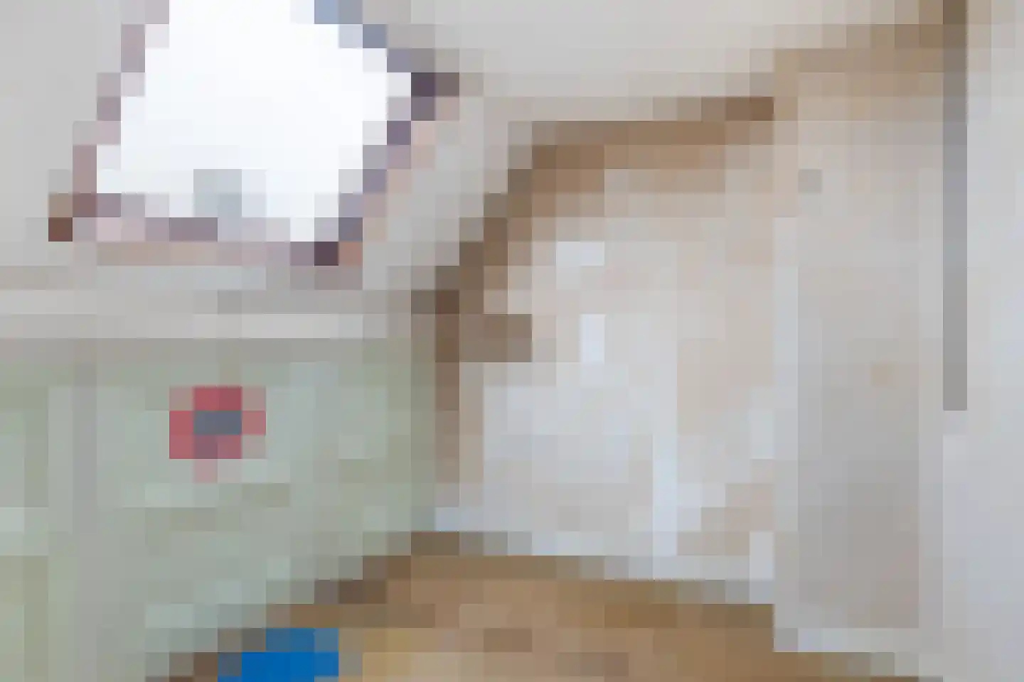 Lekdijk Oost 3 Wijk bij Duurstede thumbnail 20