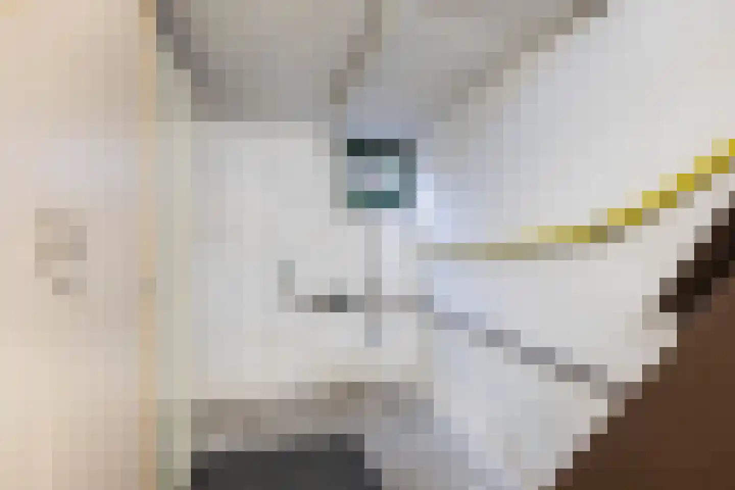 Lekdijk Oost 3 Wijk bij Duurstede thumbnail 29