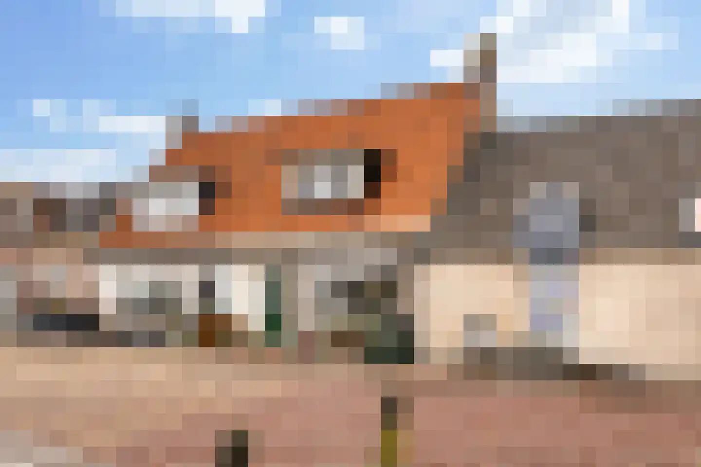 Lekdijk Oost 3 Wijk bij Duurstede foto 3