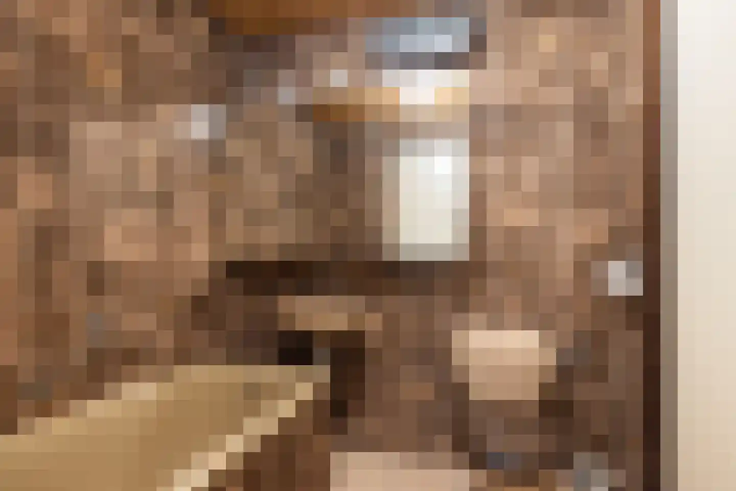 Lekdijk Oost 3 Wijk bij Duurstede thumbnail 33