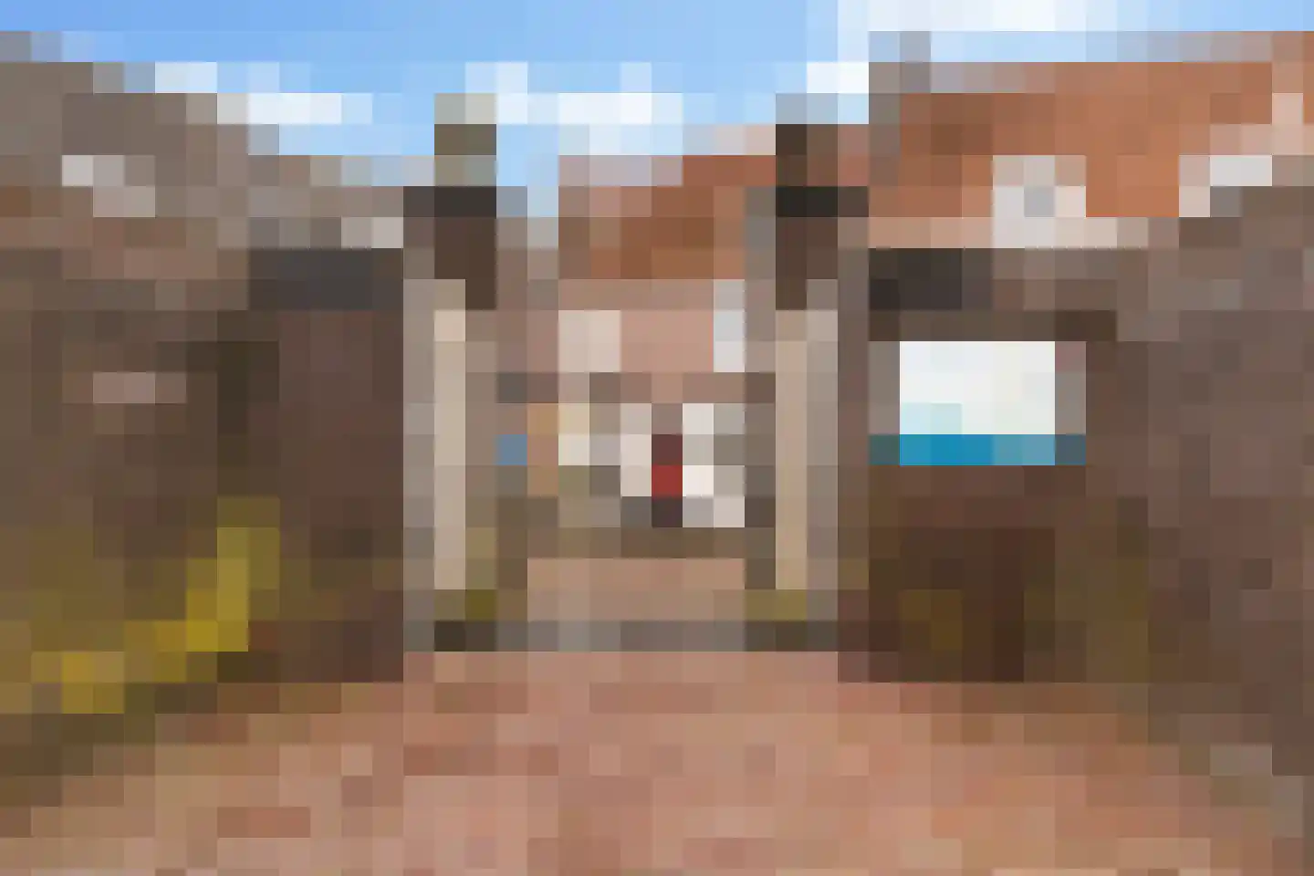 Lekdijk Oost 3 Wijk bij Duurstede thumbnail 42