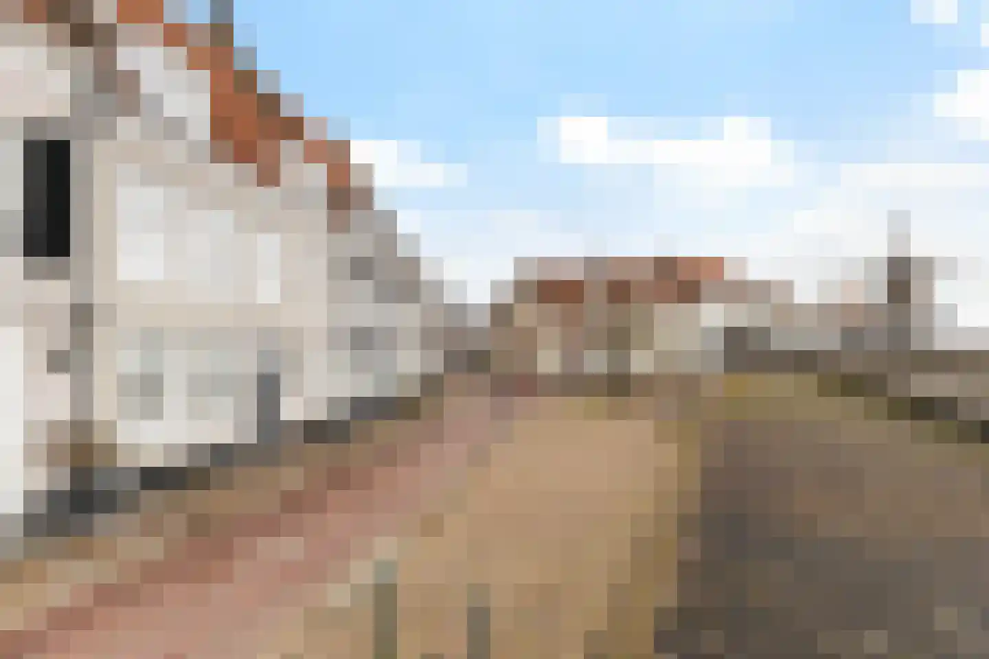 Lekdijk Oost 3 Wijk bij Duurstede thumbnail 45