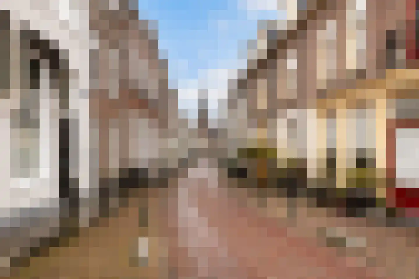 Lekdijk Oost 3 Wijk bij Duurstede thumbnail 47