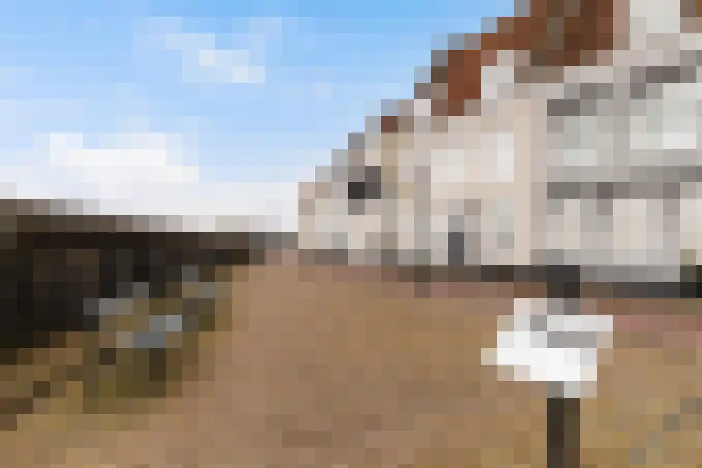 Lekdijk Oost 3 Wijk bij Duurstede thumbnail 48