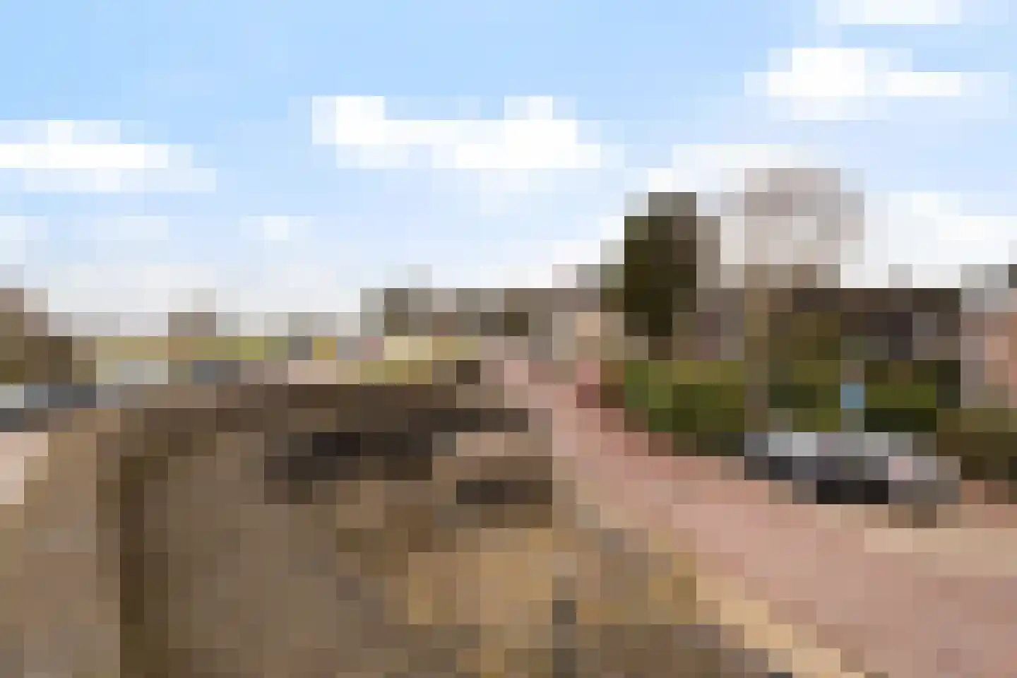 Lekdijk Oost 3 Wijk bij Duurstede thumbnail 50
