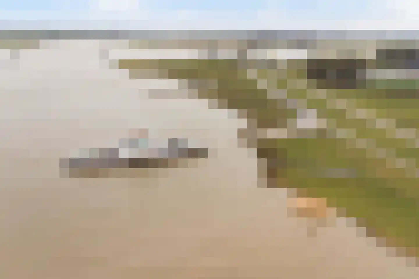 Lekdijk Oost 3 Wijk bij Duurstede thumbnail 56