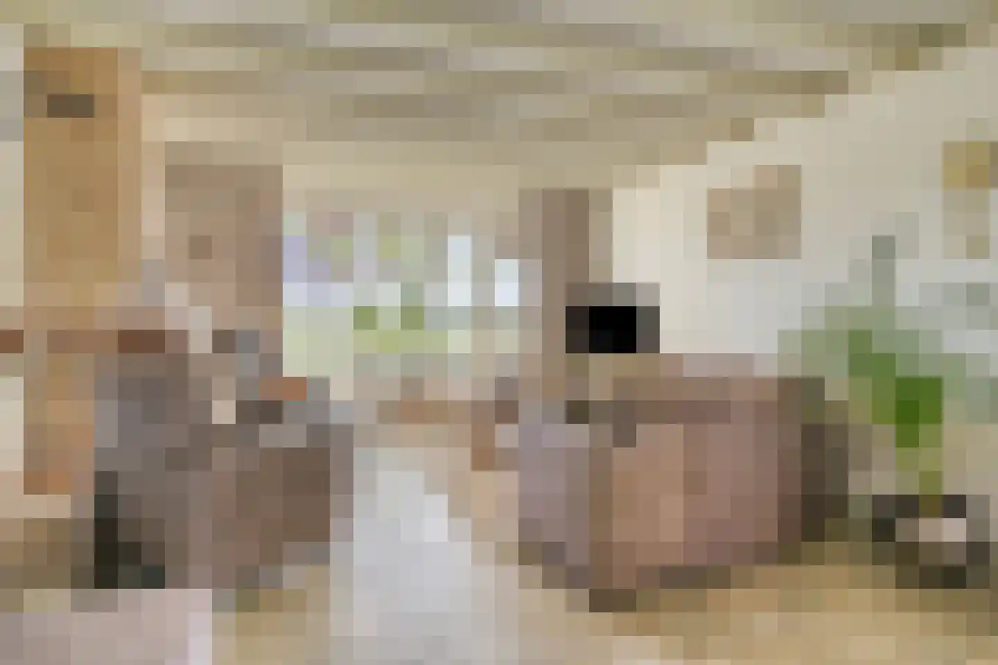 Lekdijk Oost 5 Beusichem thumbnail 10