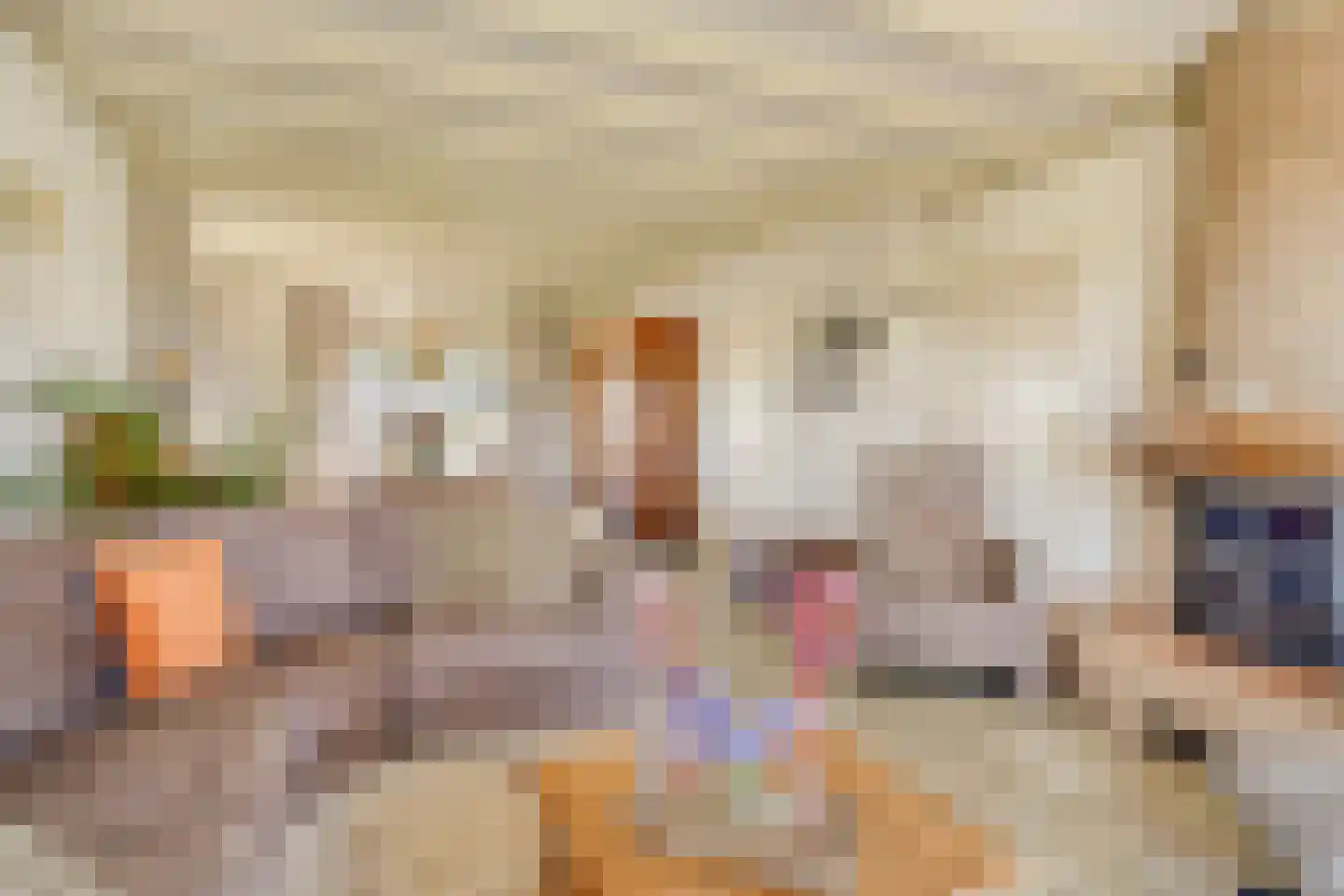 Lekdijk Oost 5 Beusichem thumbnail 12