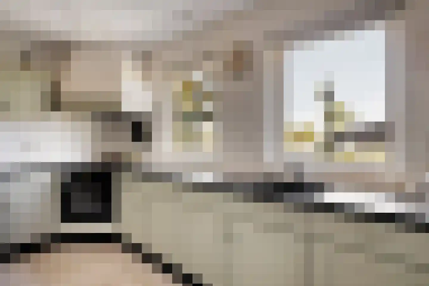 Lekdijk Oost 5 Beusichem thumbnail 14