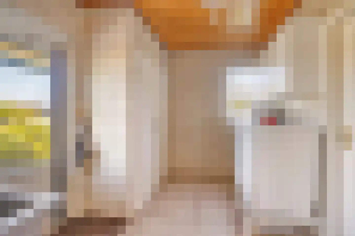 Lekdijk Oost 5 Beusichem thumbnail 17