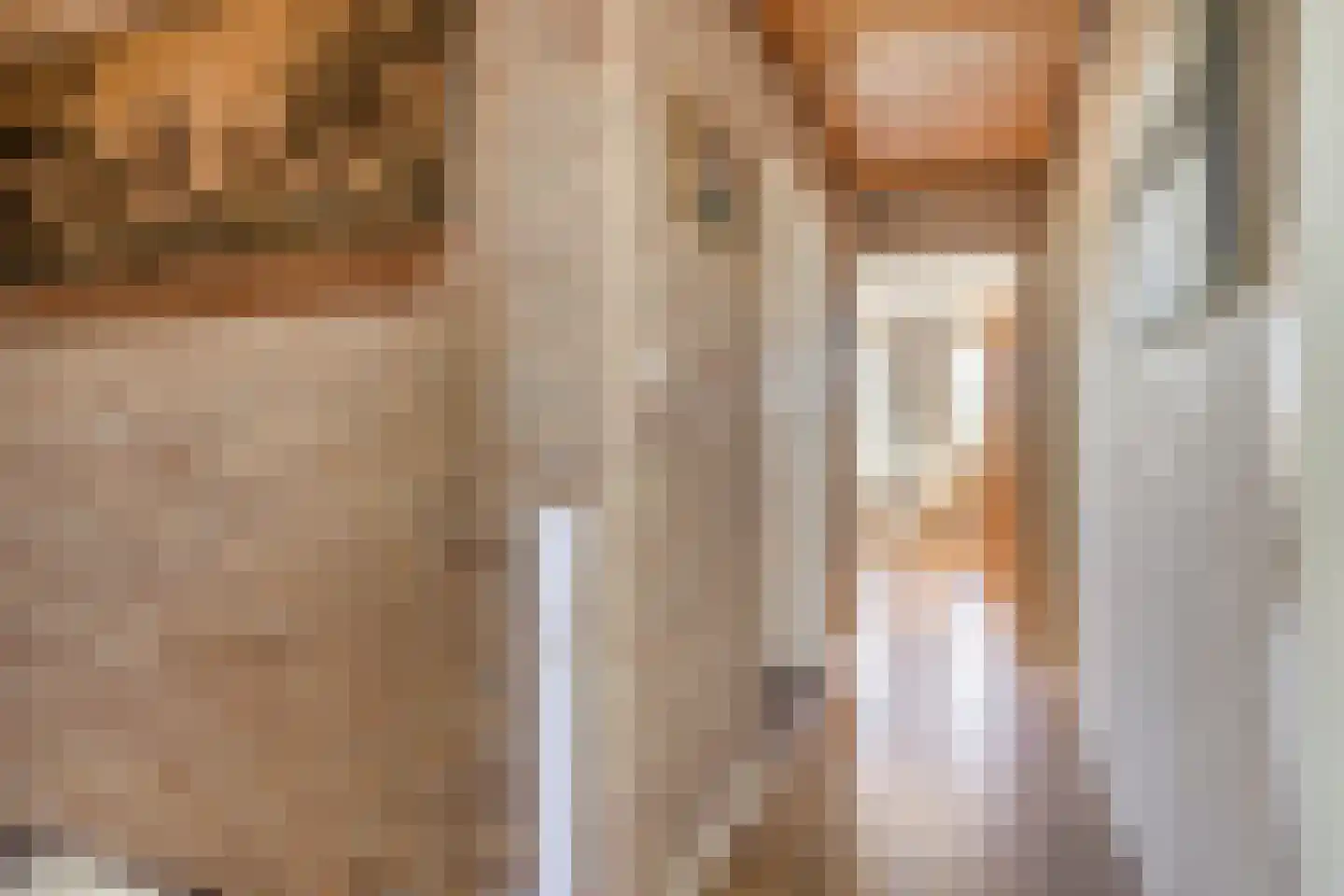 Lekdijk Oost 5 Beusichem thumbnail 19