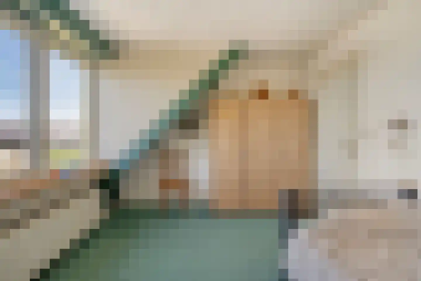 Lekdijk Oost 5 Beusichem thumbnail 22