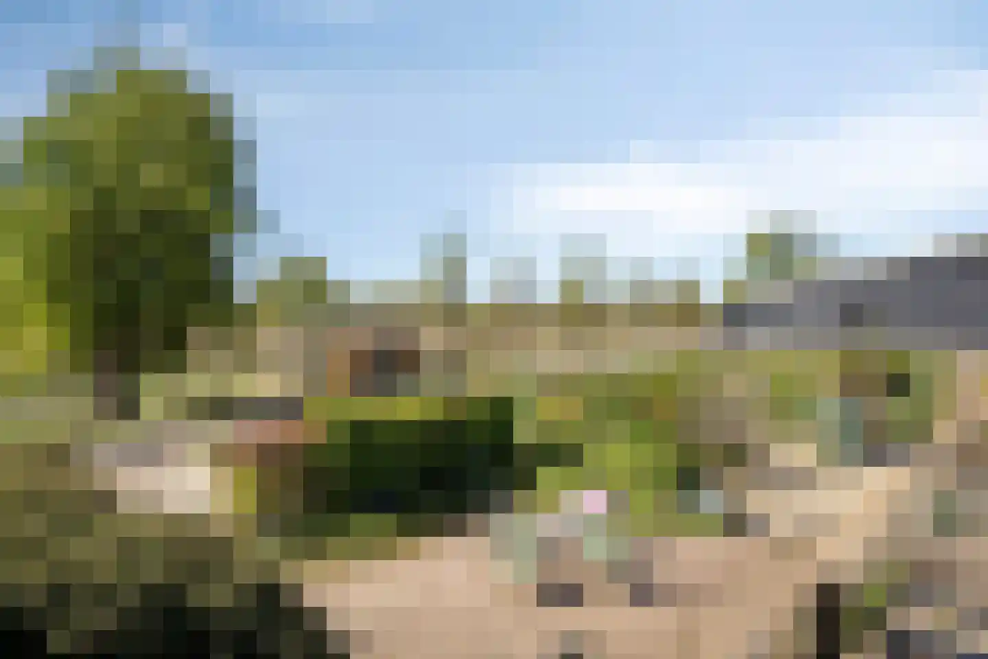 Lekdijk Oost 5 Beusichem thumbnail 36