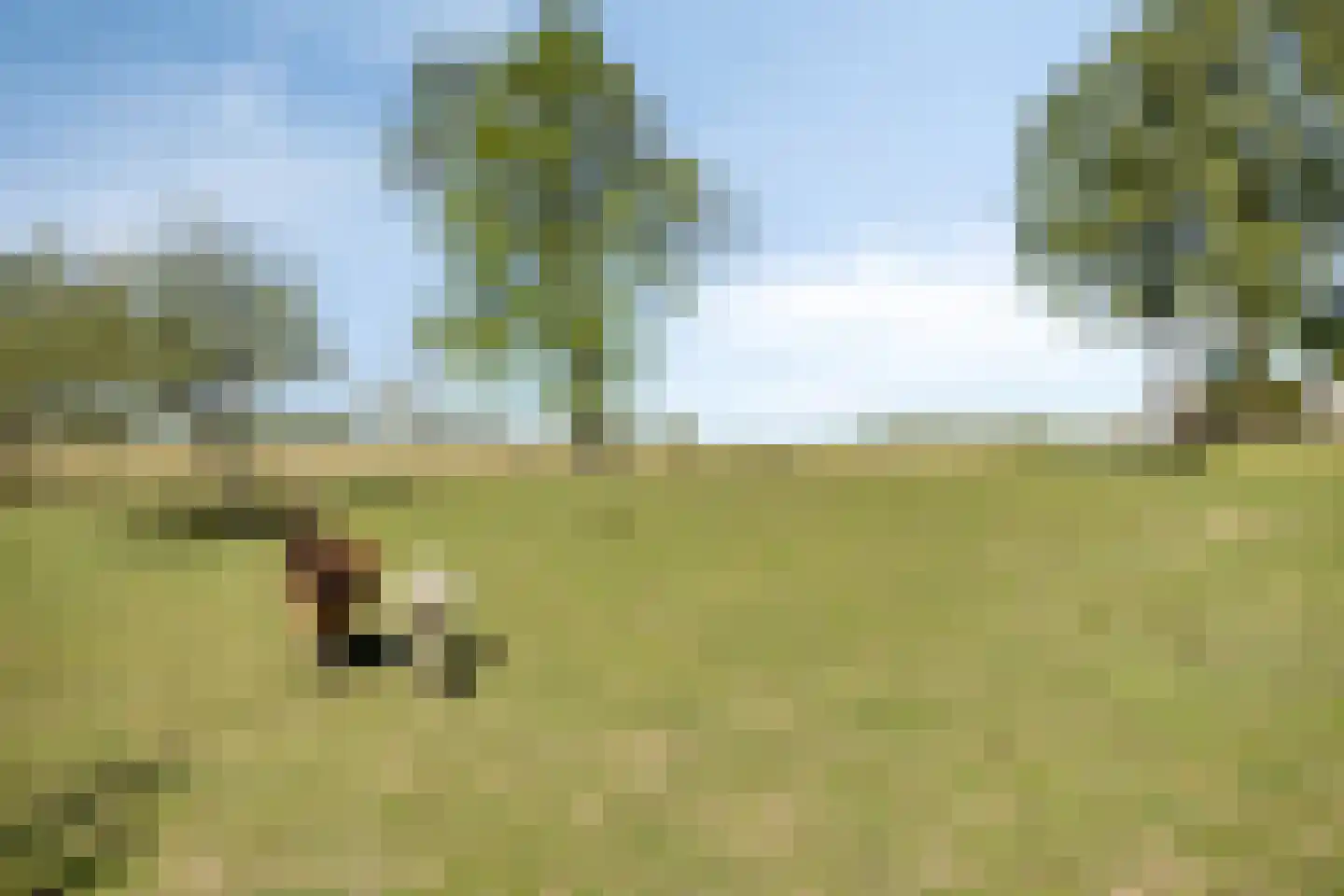 Lekdijk Oost 5 Beusichem thumbnail 37