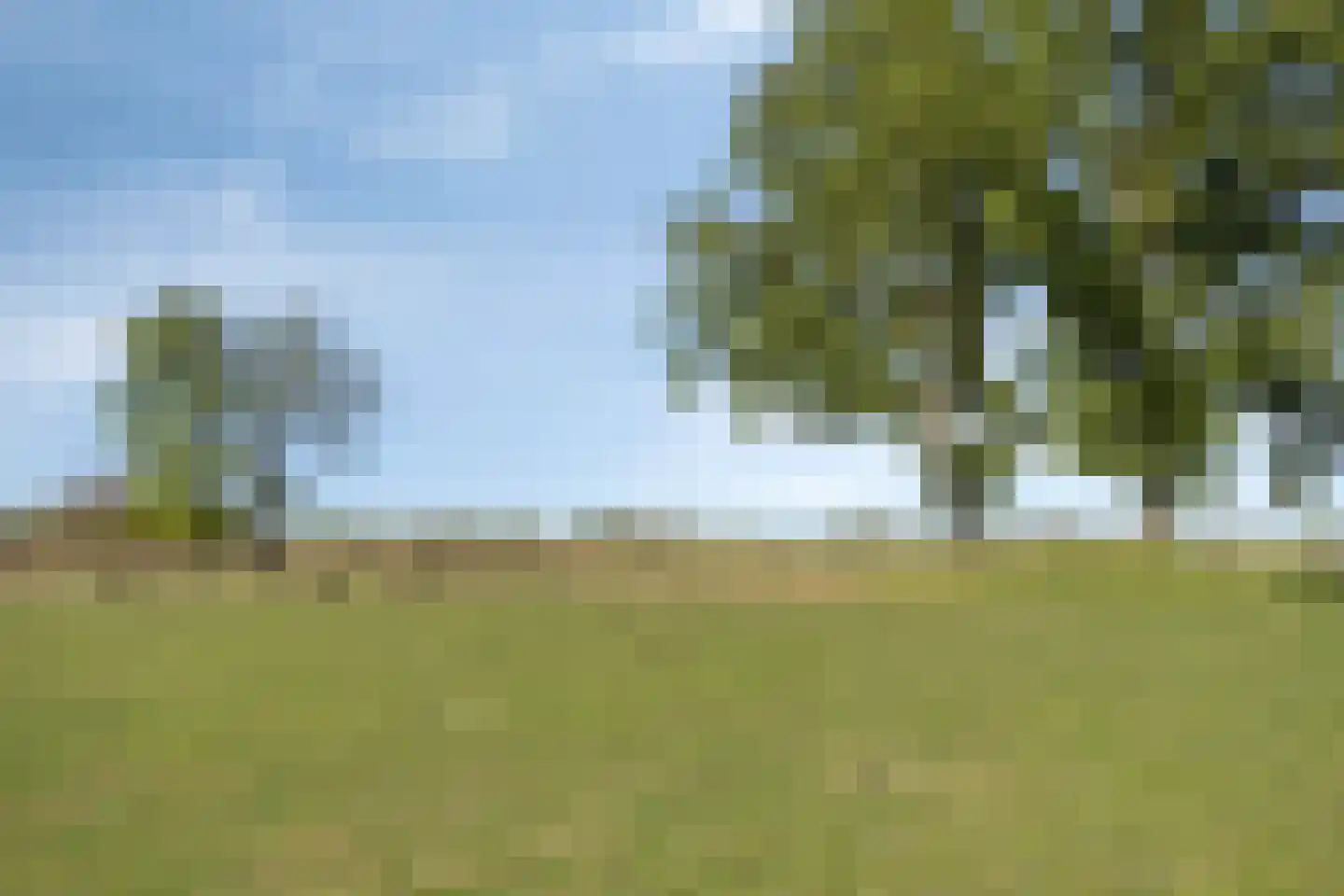 Lekdijk Oost 5 Beusichem thumbnail 38