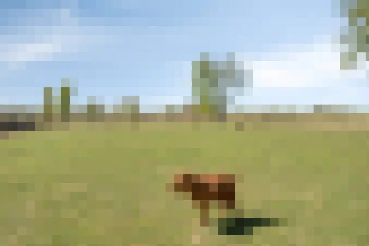 Lekdijk Oost 5 Beusichem thumbnail 39