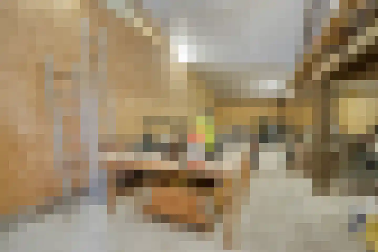 Lekdijk Oost 5 Beusichem thumbnail 47
