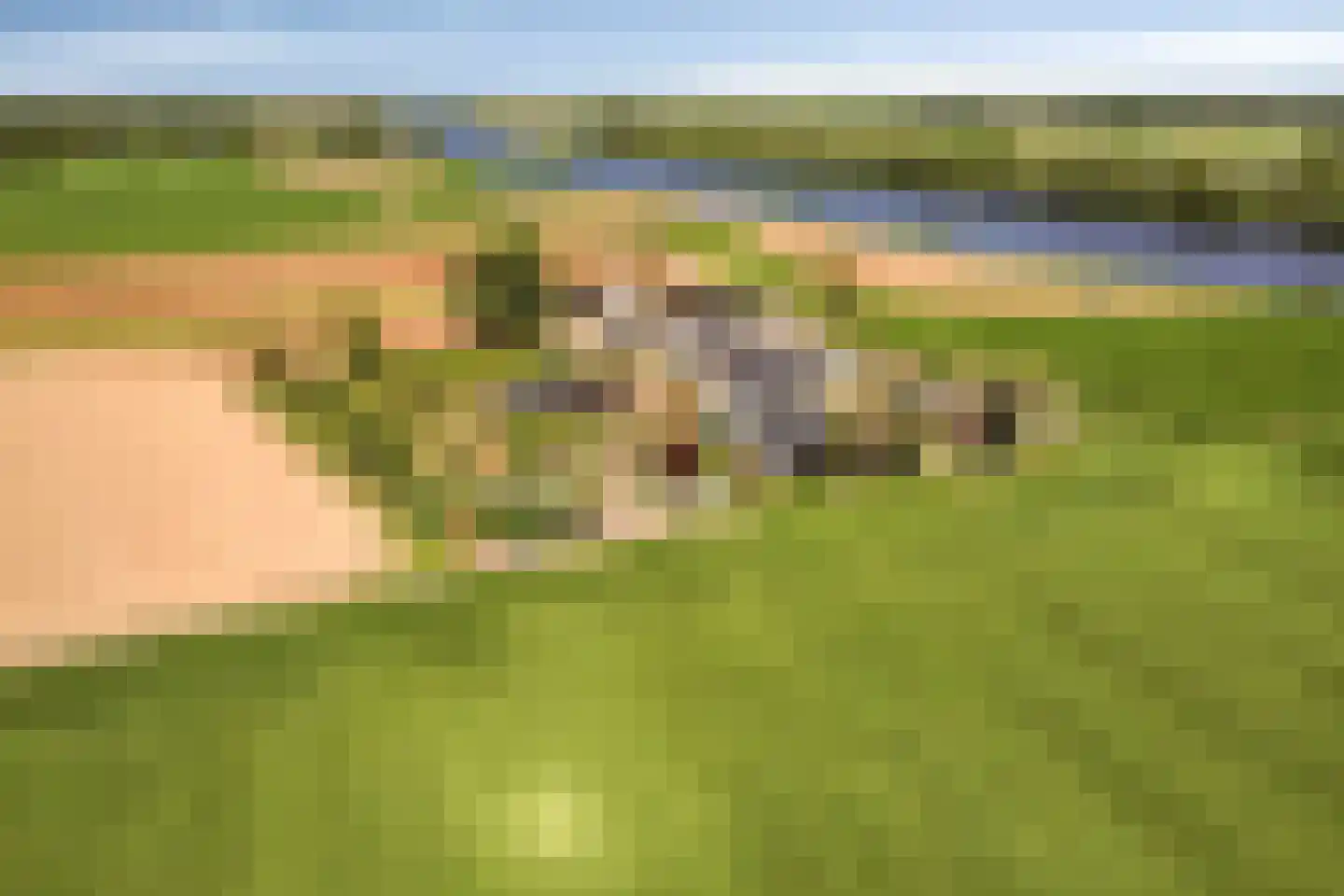 Lekdijk Oost 5 Beusichem thumbnail 49