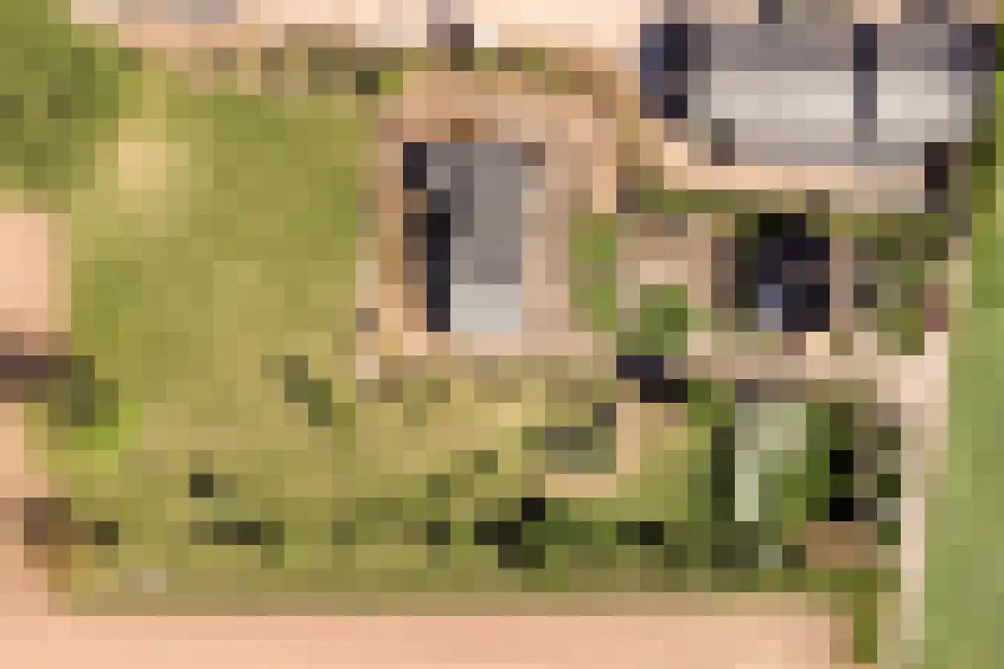 Lekdijk Oost 5 Beusichem thumbnail 50