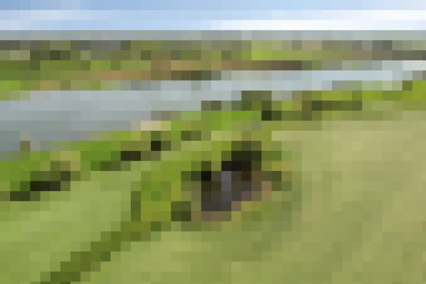 Lekdijk Oost 5 Beusichem thumbnail 52