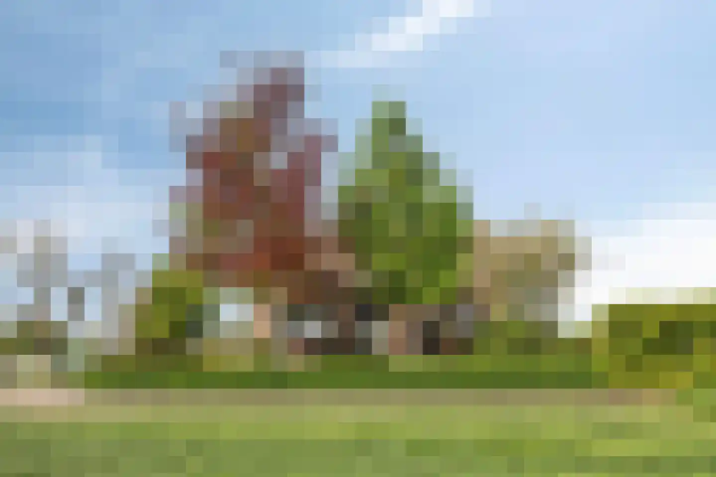 Lekdijk Oost 5 Beusichem thumbnail 54
