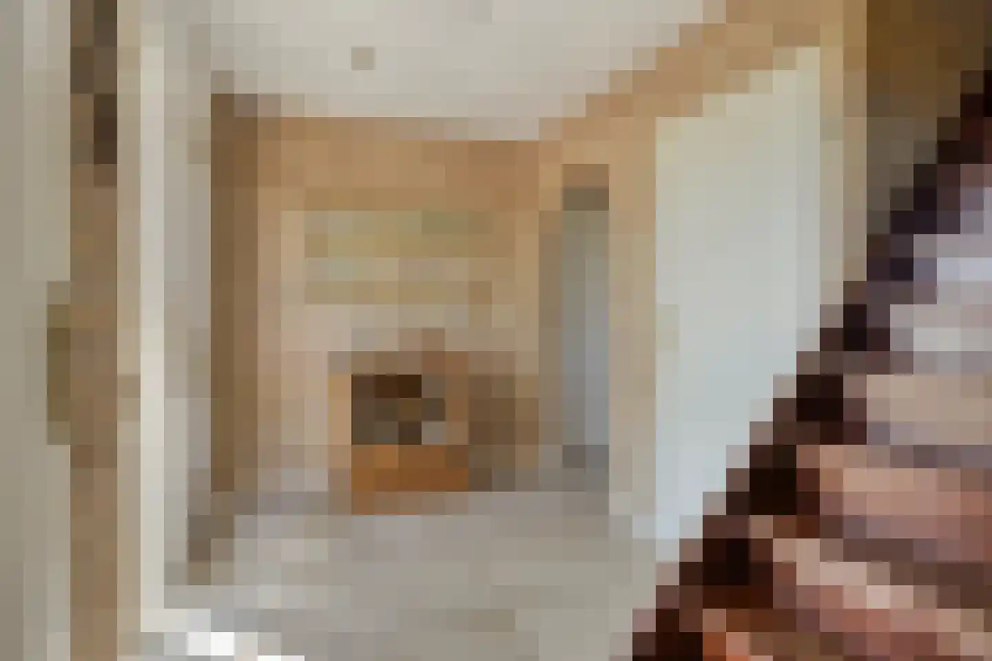 Lekdijk Oost 5 Beusichem thumbnail 6