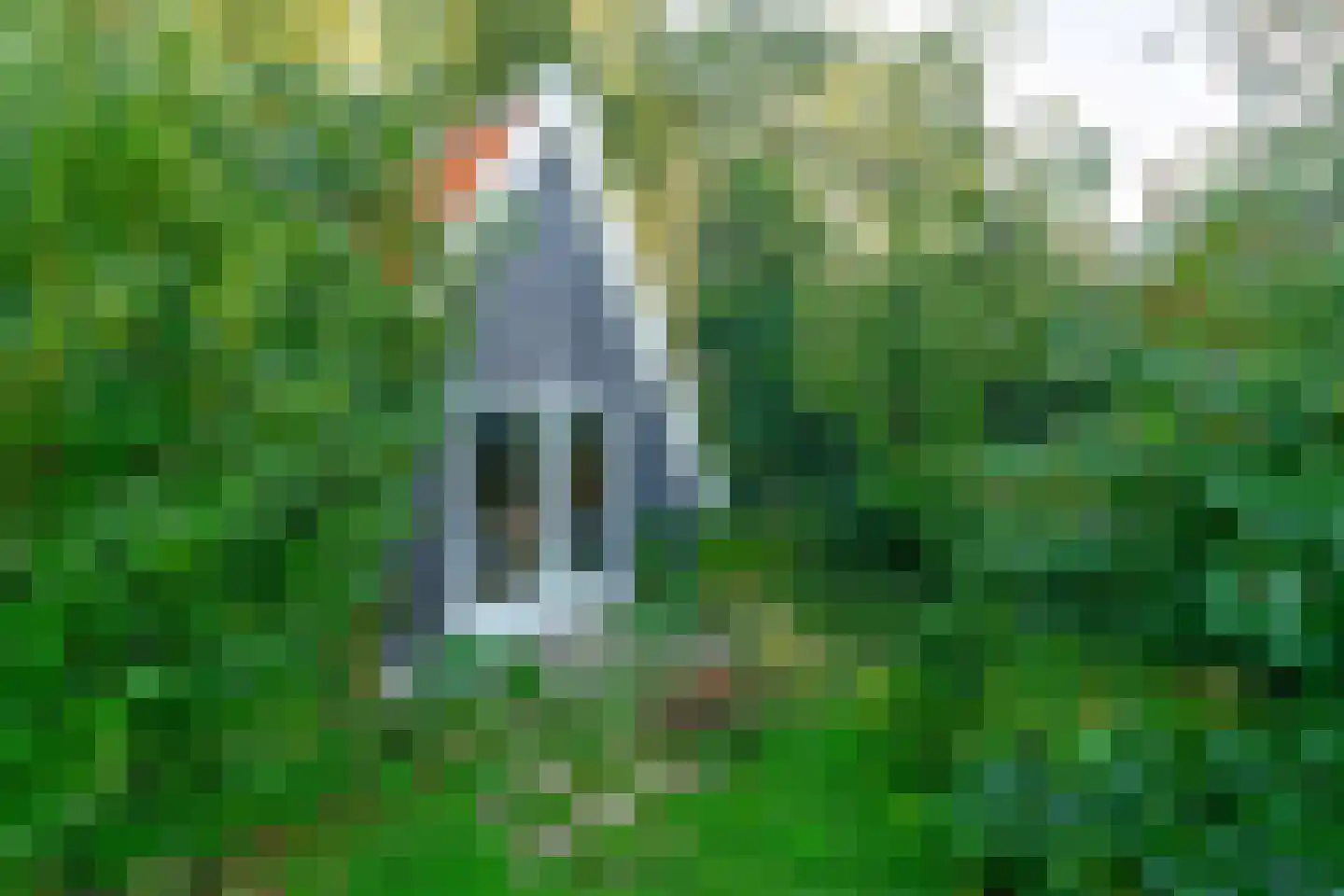 Lekdijk-West 13 a Schoonhoven thumbnail 17