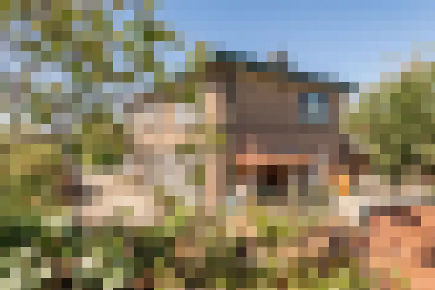 Lekdijk West 17 Wijk bij Duurstede thumbnail 10