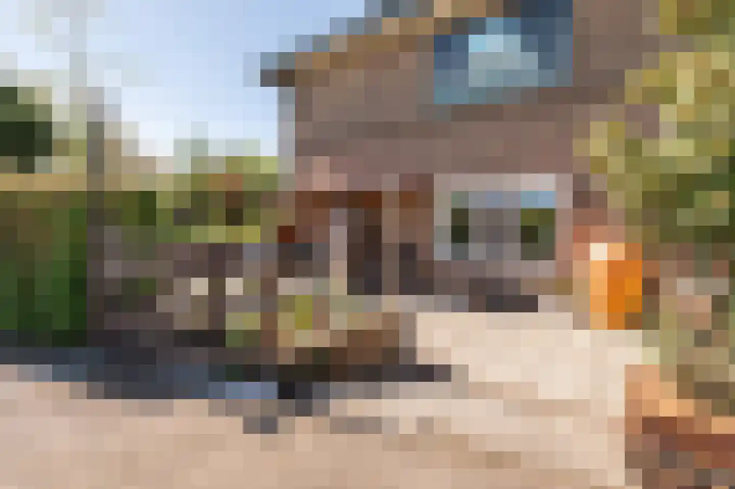Lekdijk West 17 Wijk bij Duurstede thumbnail 11
