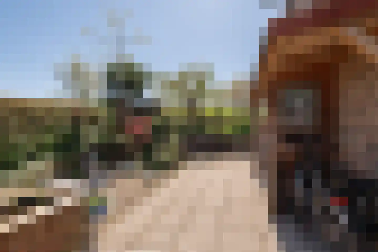 Lekdijk West 17 Wijk bij Duurstede thumbnail 15