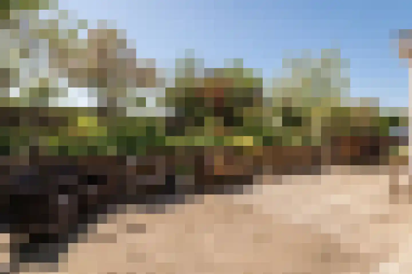 Lekdijk West 17 Wijk bij Duurstede thumbnail 16