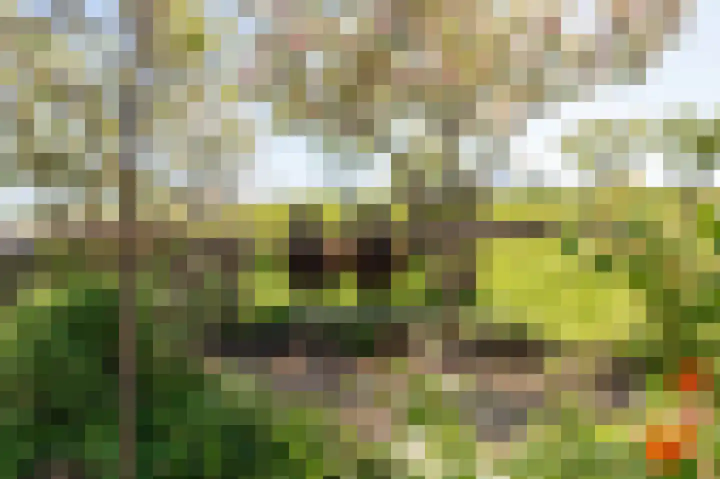 Lekdijk West 17 Wijk bij Duurstede thumbnail 17