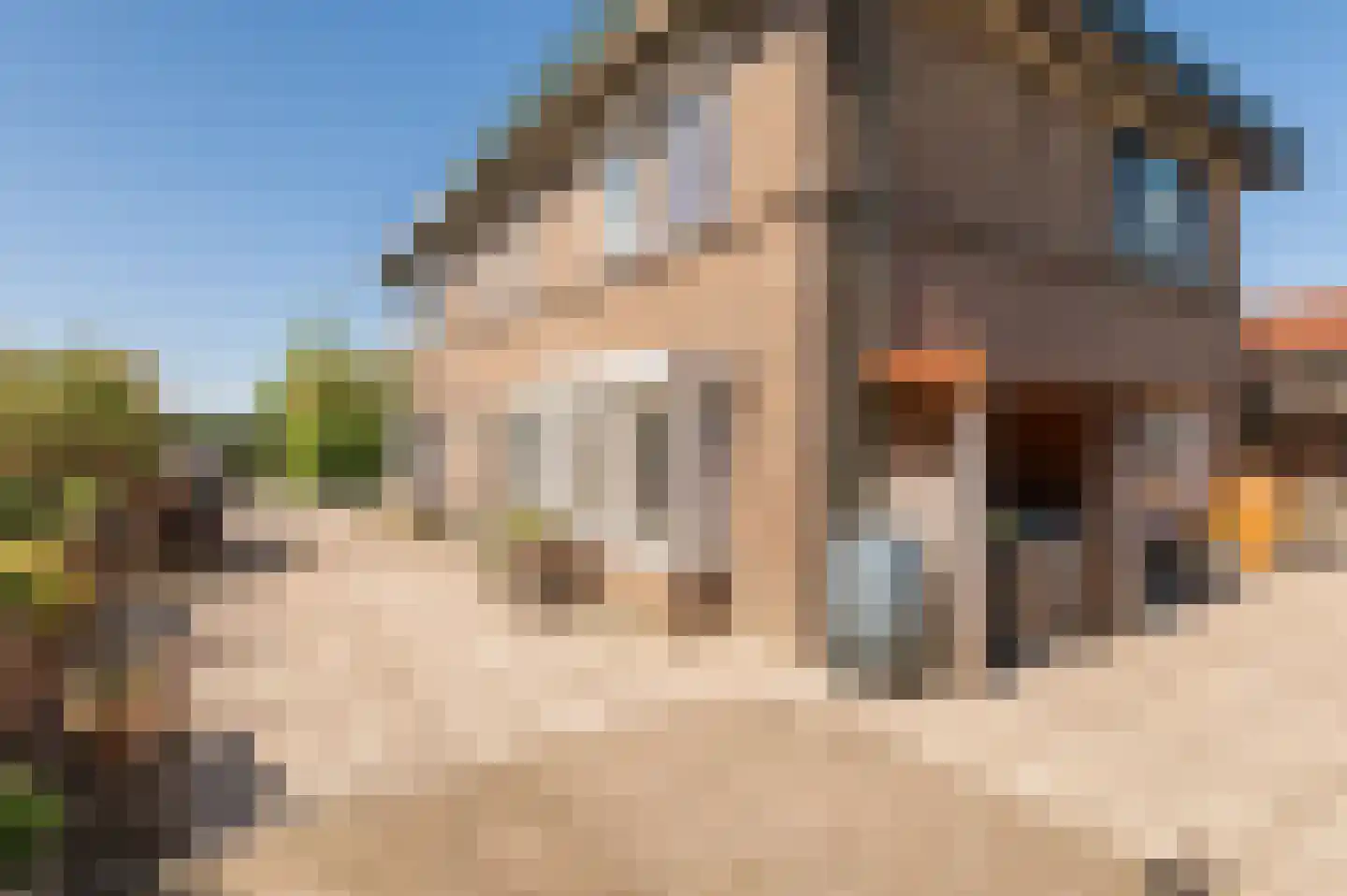Lekdijk West 17 Wijk bij Duurstede thumbnail 19
