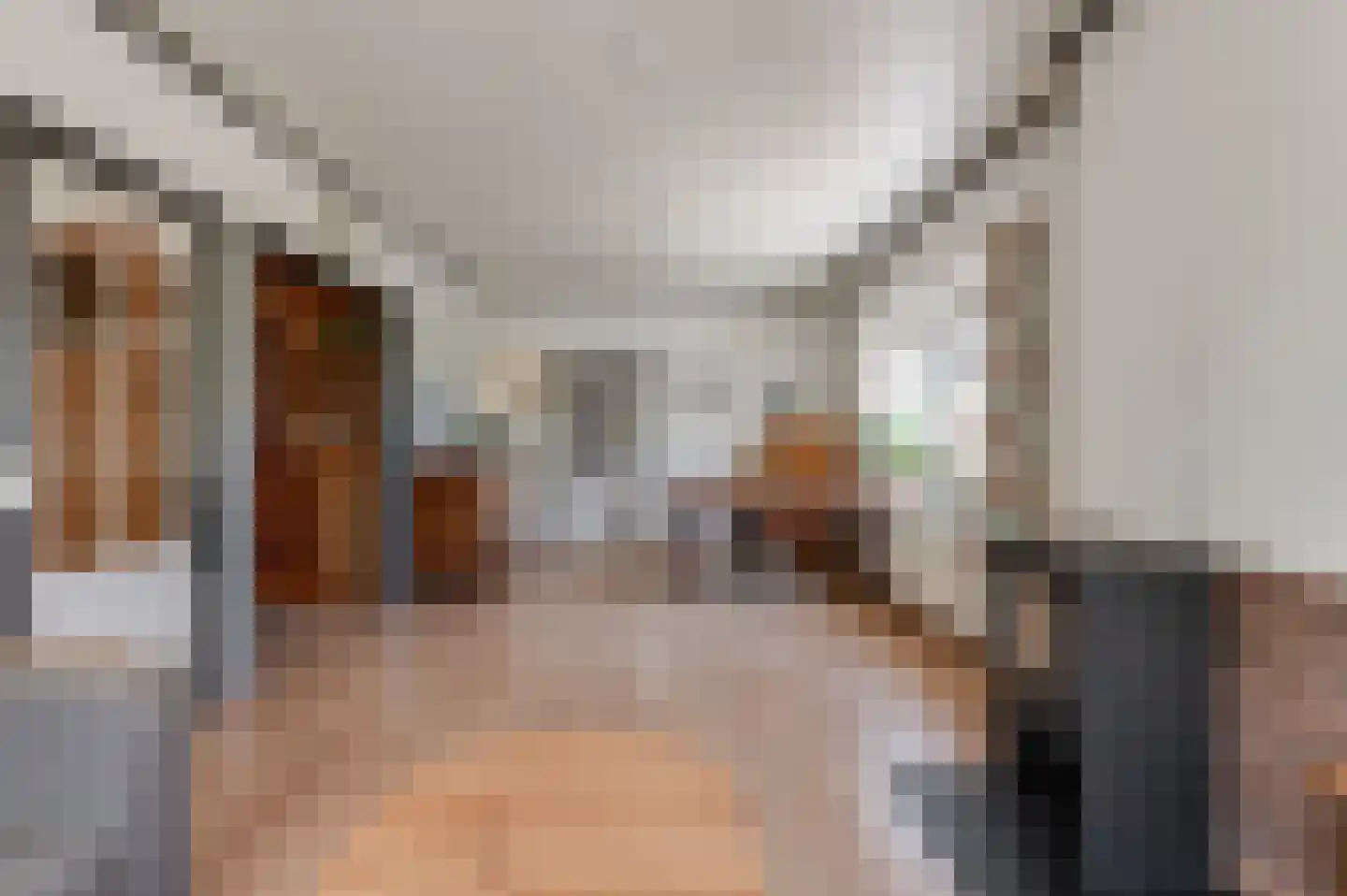 Lekdijk West 17 Wijk bij Duurstede thumbnail 25