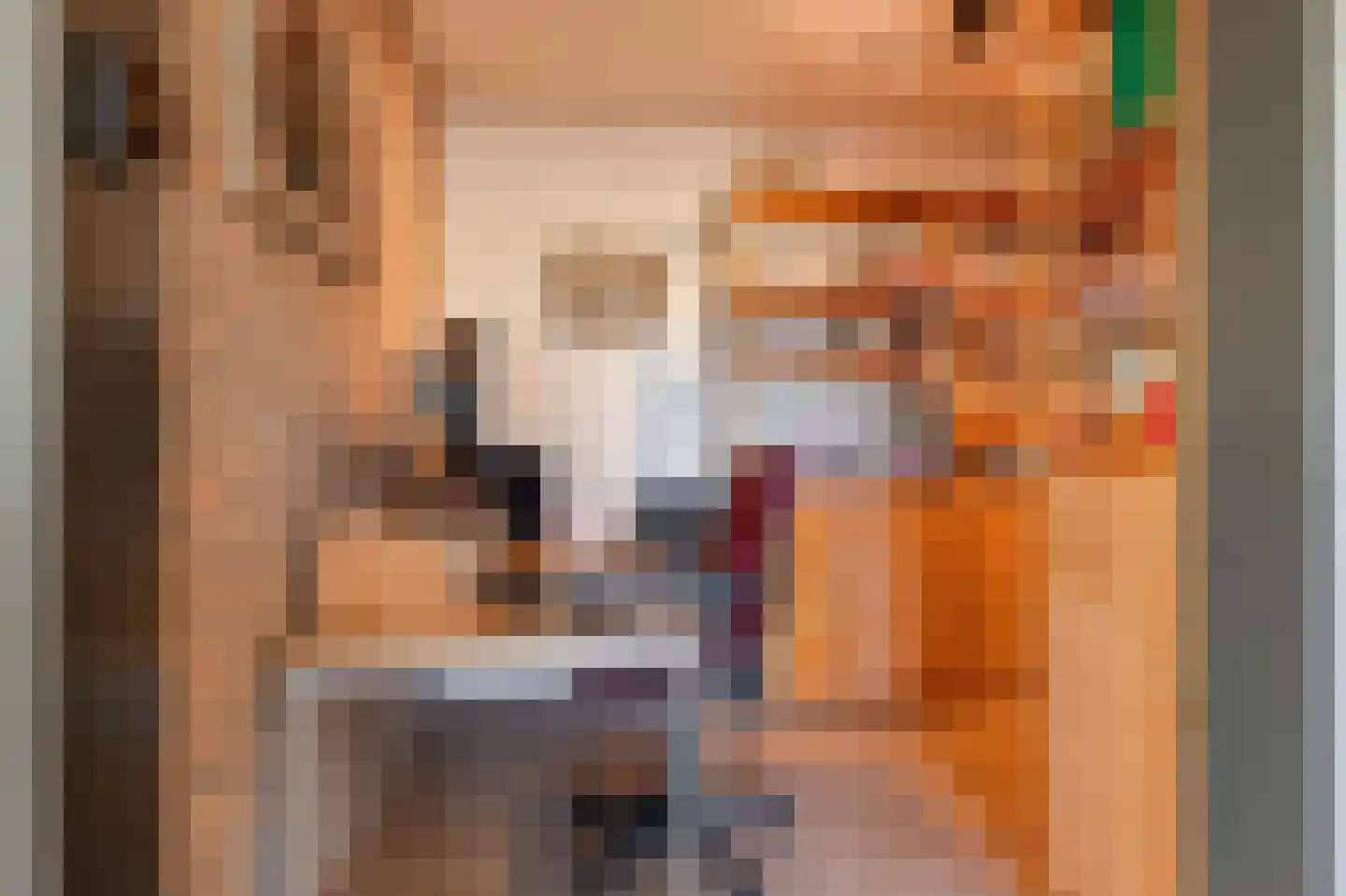Lekdijk West 17 Wijk bij Duurstede thumbnail 28