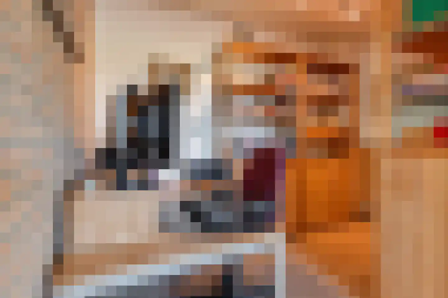 Lekdijk West 17 Wijk bij Duurstede thumbnail 29