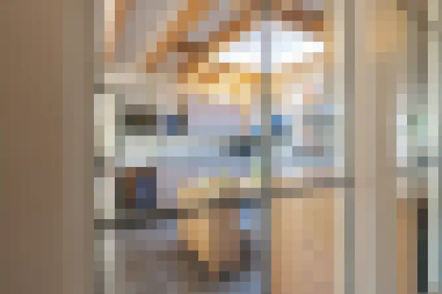 Lekdijk West 17 Wijk bij Duurstede thumbnail 30